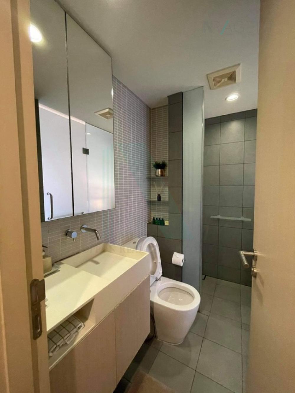 Slide 8